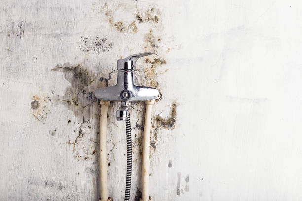 Selma, CA Mold Removal Company
