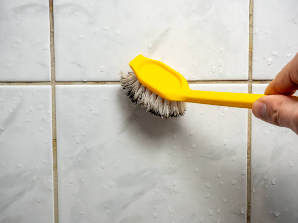 Best Mold Inspection  in Selma, CA