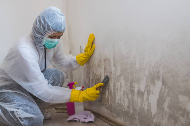 Best Crawl Space Mold Removal  in Selma, CA