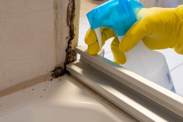Best Office Mold Removal Services  in Selma, CA