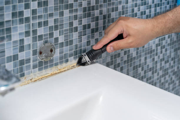 Certified Mold Removal in Selma, CA