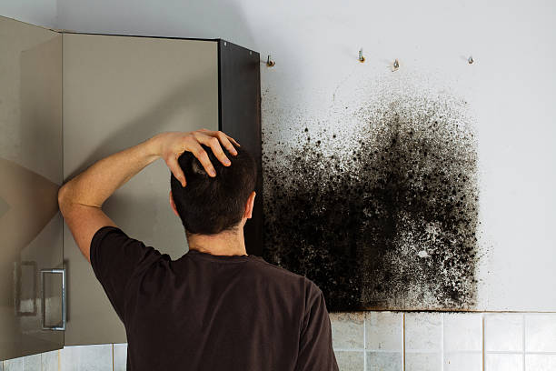 Best Commercial Mold Removal  in Selma, CA